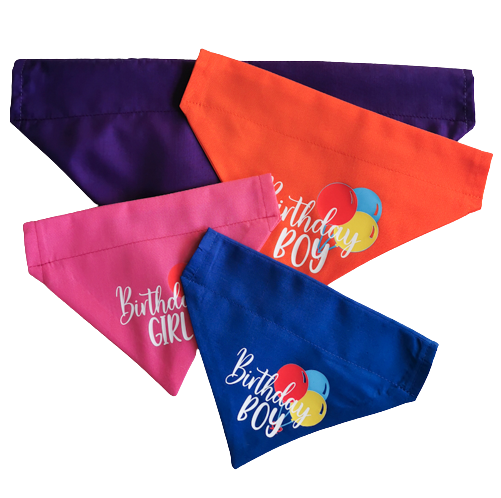 Photo shows the four different colours customers can choose for their pet birthday bandanas, blue, pink, orange and purple, meaning there is plenty of choice for any cat or dog lover