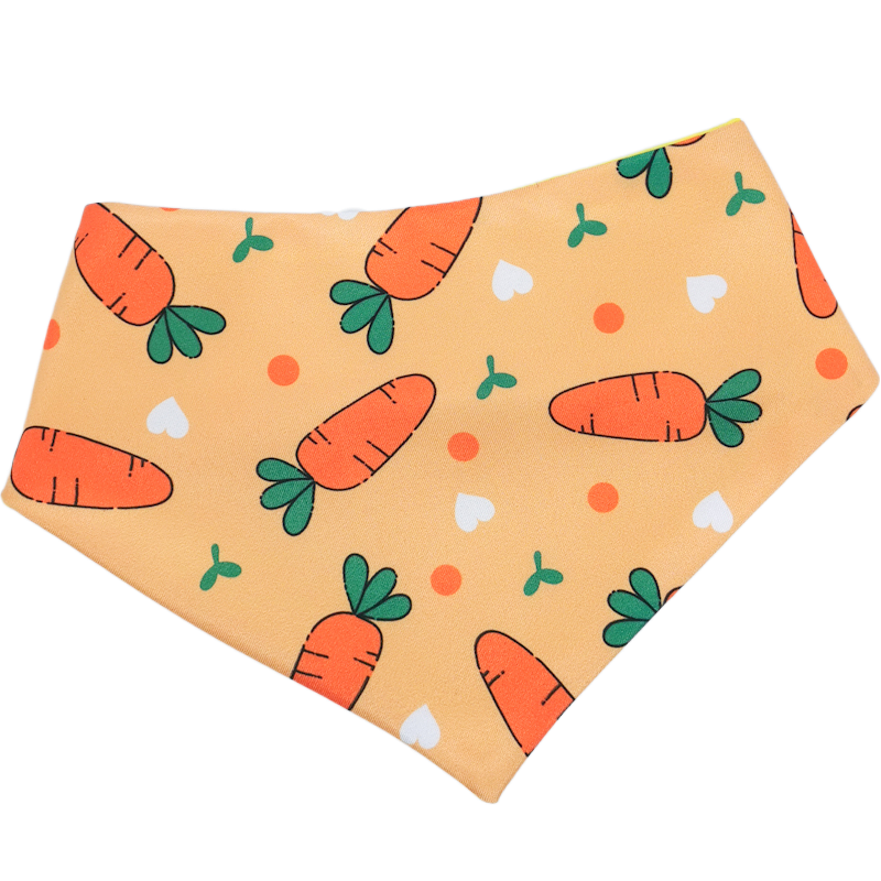 Carrot Bandana