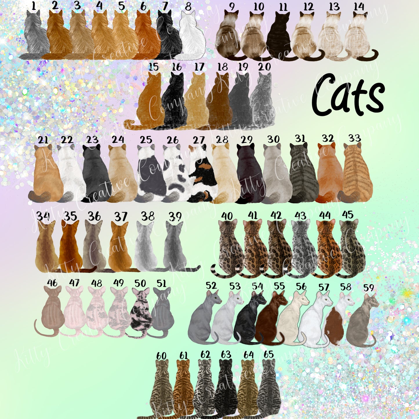 Picture shows the first set of cat options numbered 1 to 65