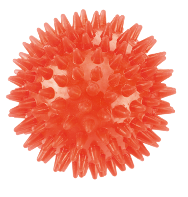 Gor Flex Squeaky Ball (9cm)