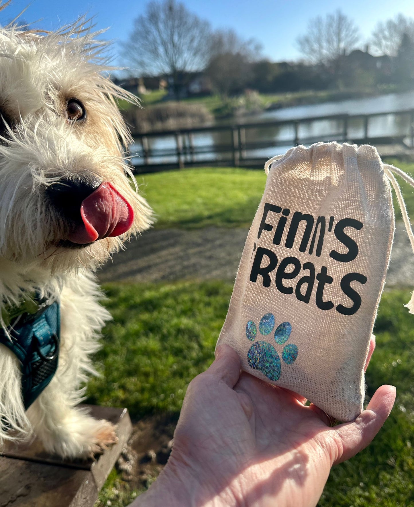 dog treat pouch with the words finn's treats on being held by the owner as the dog looks on and licks its face