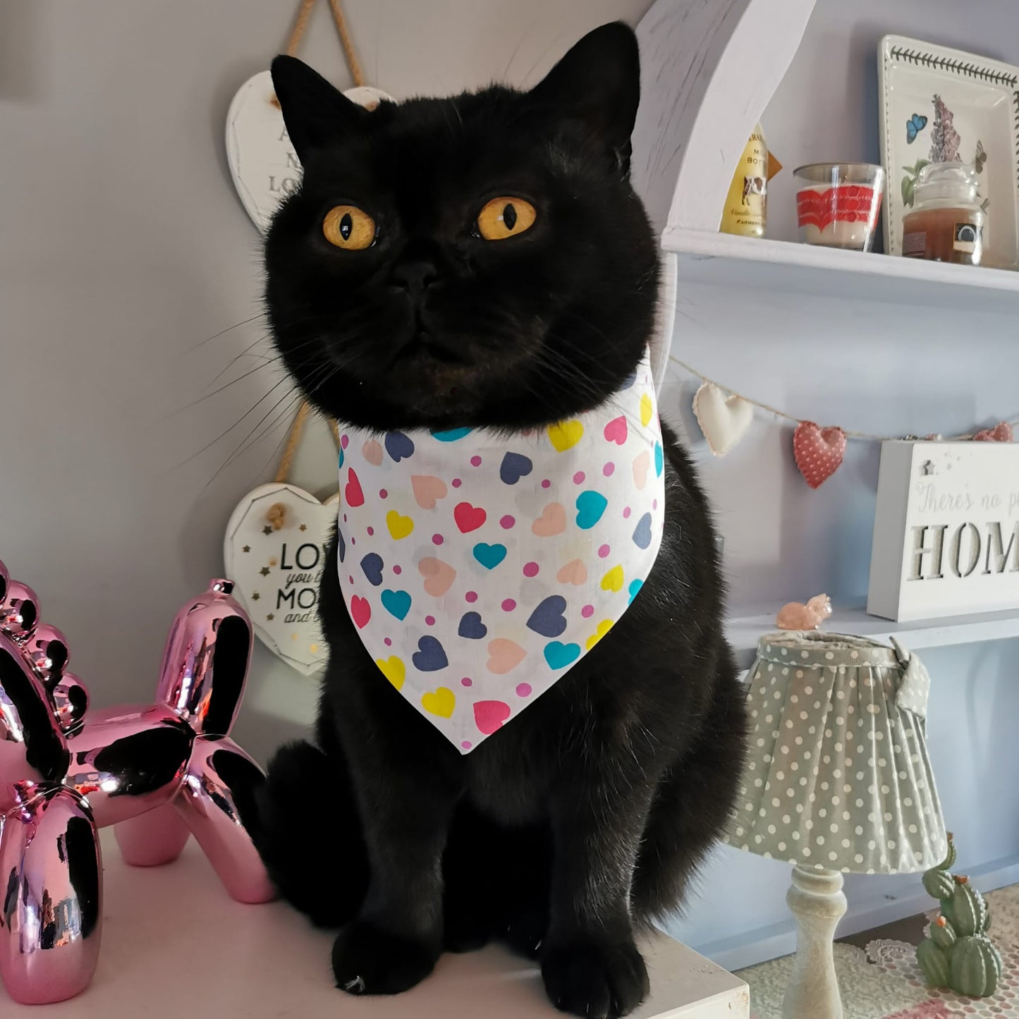 Valentine's Day Hearts Bandanas