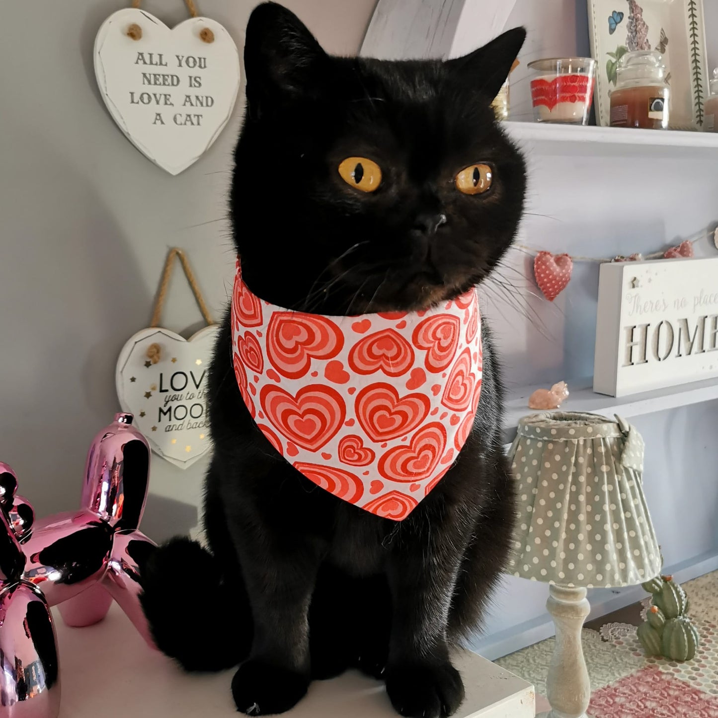 Valentine's Day Hearts Bandanas