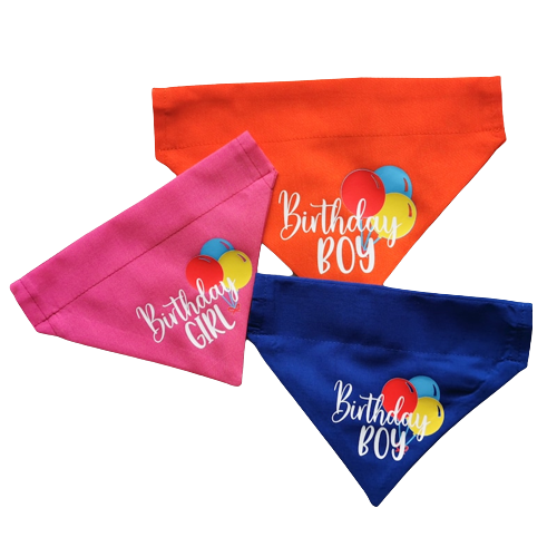 Photo shows three over the collar pet bandanas which say birthday boy or birthday girl on with birthday balloons, these bandanas would make fantastic gifts for any pet birthday or gotcha day or a dog or a cat