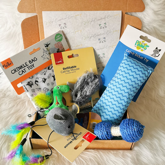 Picture shows a large gift box full to the brim with exciting and engaging interactive cat toys for cats, the picture shows a large catnip kicker, a sisal dumbell, a wind up mouse, a catnip filled mouse and a crinkle bag for cats to have endless hours of fun