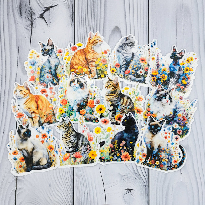 Set of 12 cat stickers where the cats are sat in fields of flowers, the cats are all different breeds, the stickers are high quality, high gloss vinyl cat stickers 