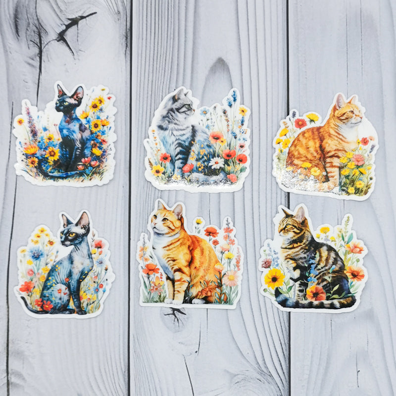 Six stickers which show cats sat in fields of flowers, two sphynx, two tabbies and two ginger cats