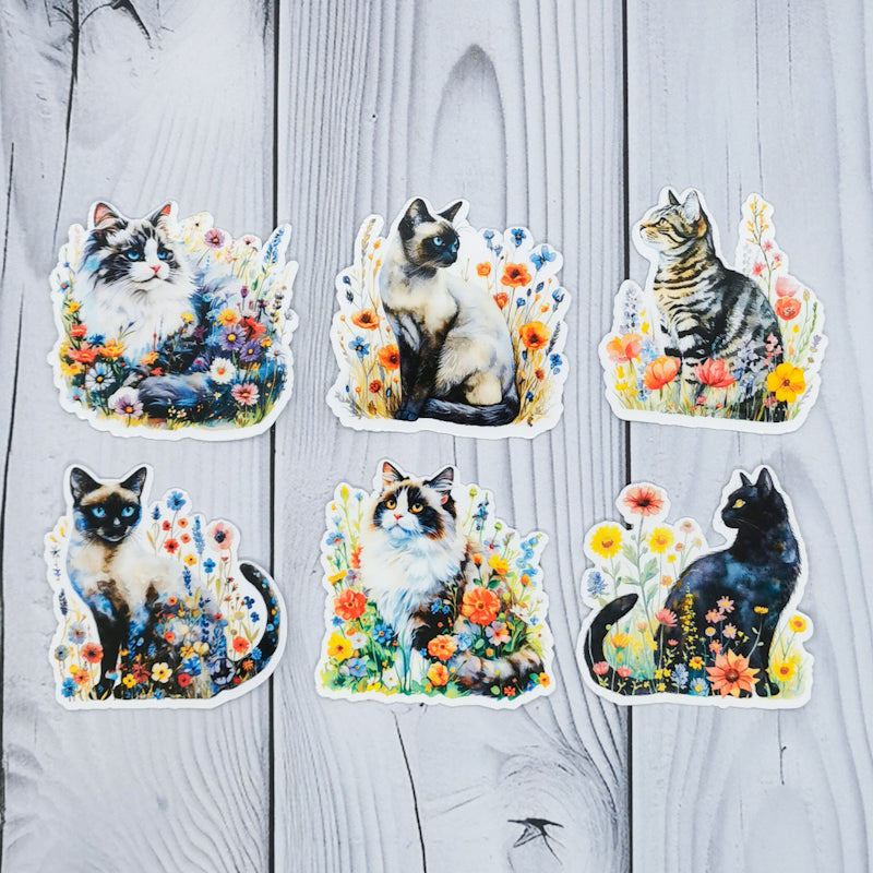 Six of the stickers which show two  ragdolls, two siamese, a tabby and a black cat sat in fields of flowers