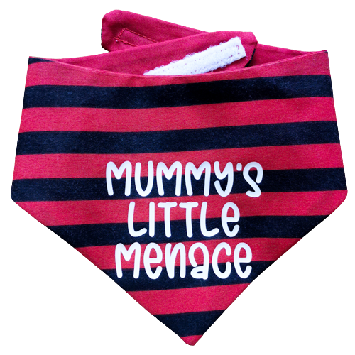 Naughty Pet Bandana