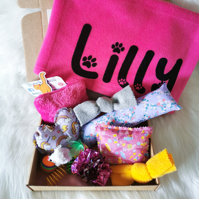 Cat Toy Gift Box With Personalised Blanket