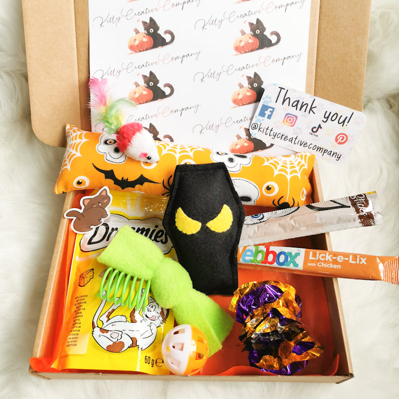 Halloween Themed Cat Toy and Treat Gift Box