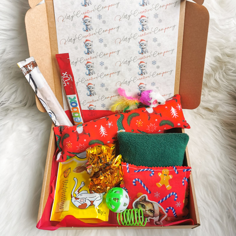 Christmas Cat Toy and Treat Box