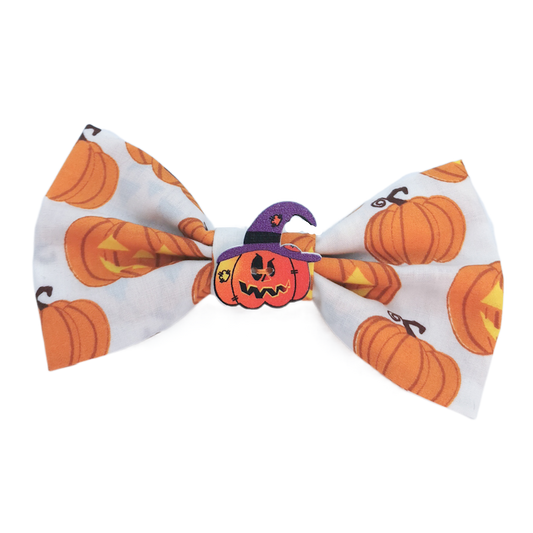 Pumpkin Pet Bow