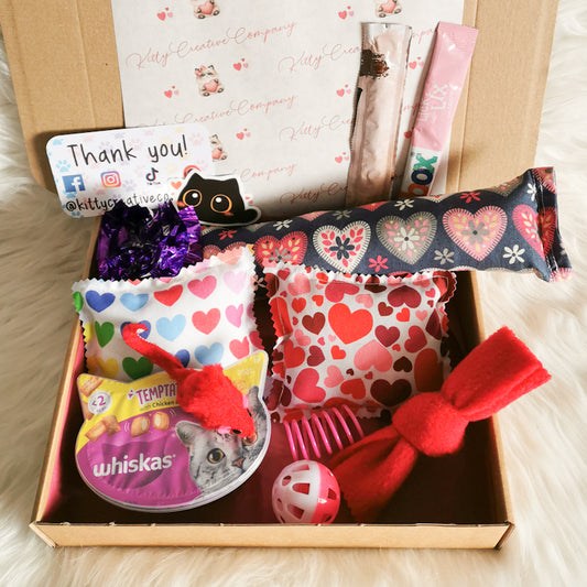 Valentines Day Cat Gift Box