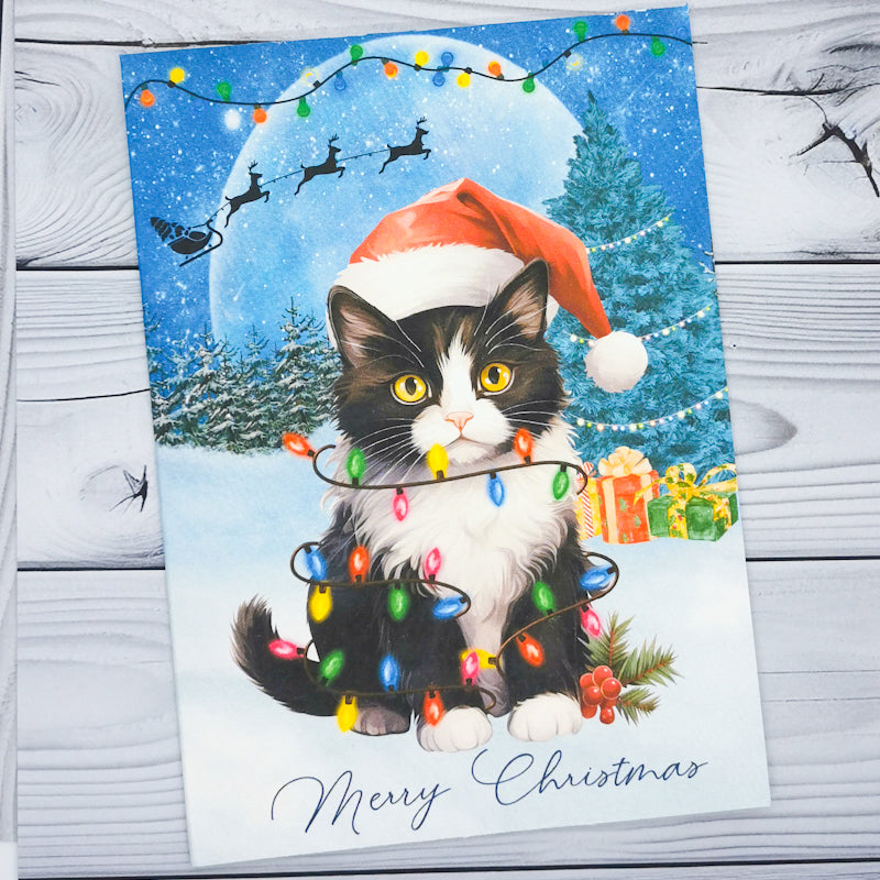 Cats In A Snow Scene Christmas Card