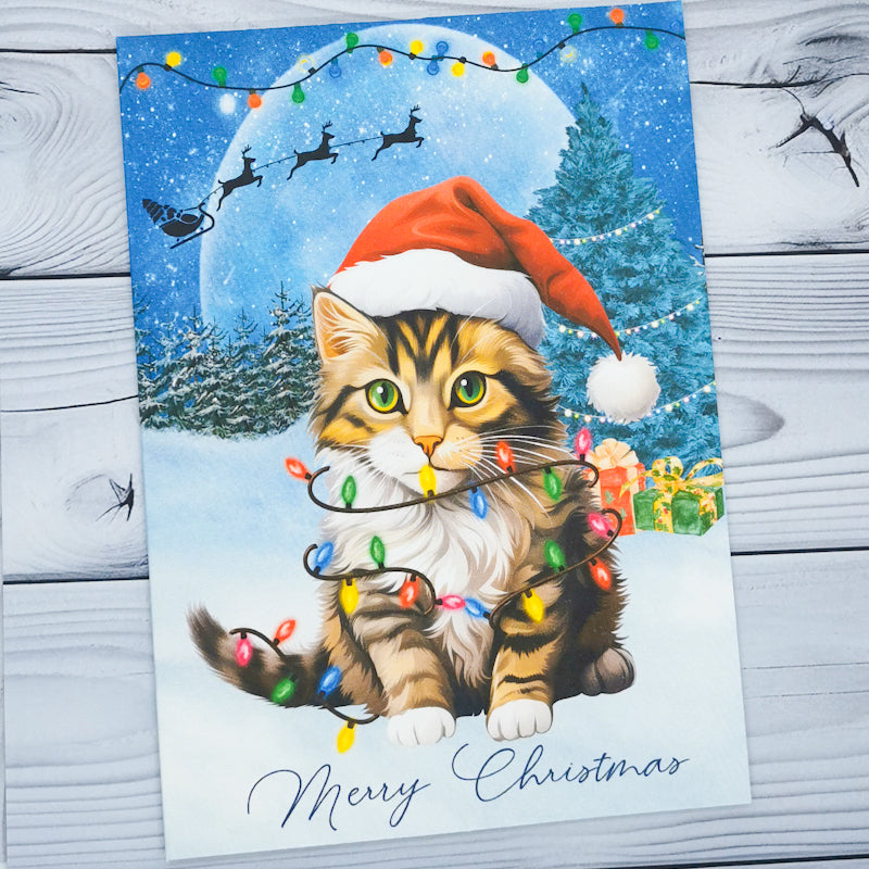 Cats In A Snow Scene Christmas Card