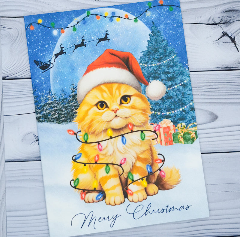 Cats In A Snow Scene Christmas Card