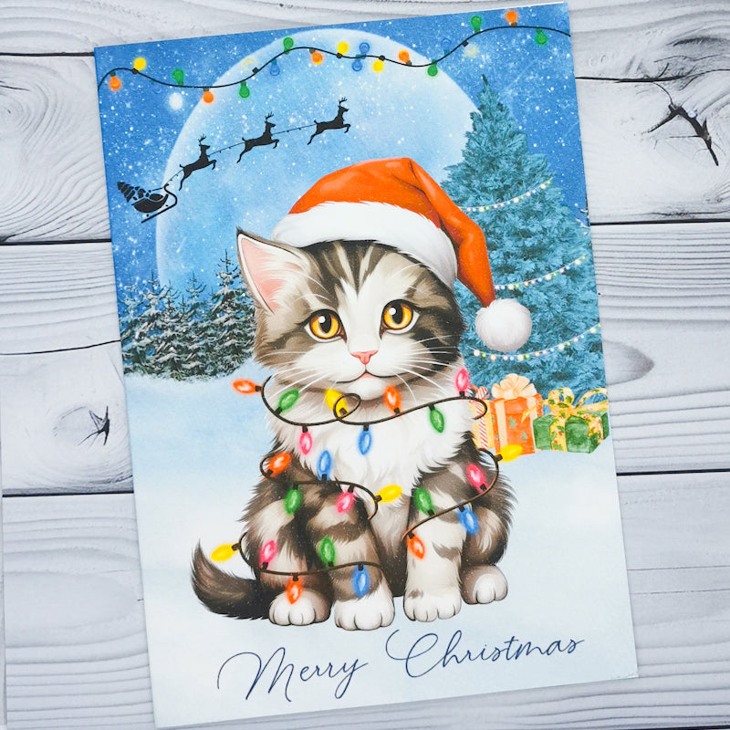 Cats In A Snow Scene Christmas Card