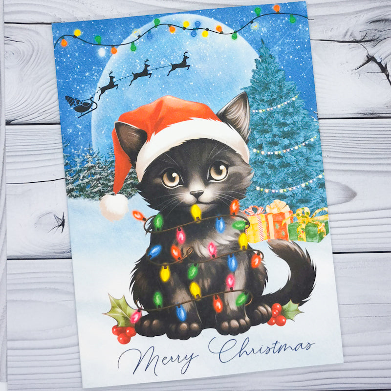 Cats In A Snow Scene Christmas Card