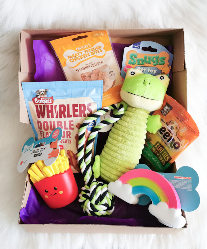 Dog Gift Box