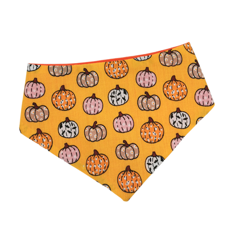 A triangular bandana for cats or dogs with an orange background featuring a pattern of variously colored pumpkins, perfect for Halloween