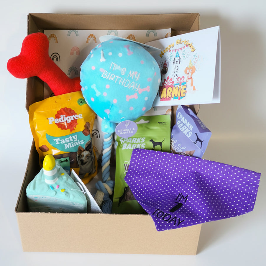 Dog Birthday Gift Box