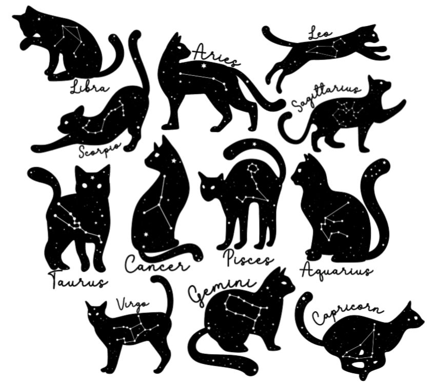 photo shows all the different zodiacs depicted as cats with their star sign name