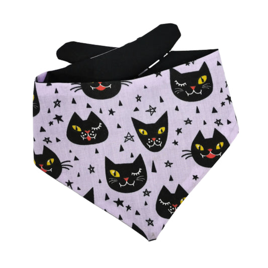 Halloween Cats Bandana