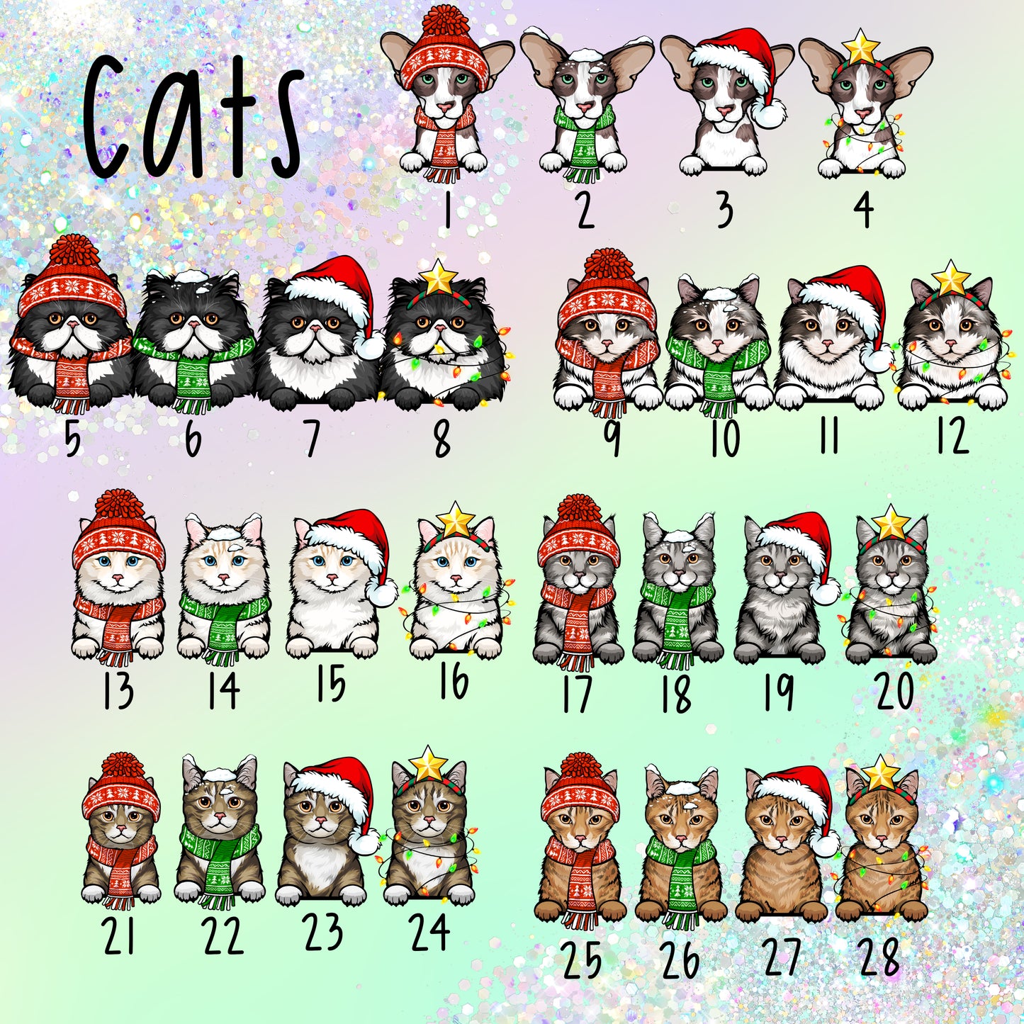 Happy Christmas Cat Card