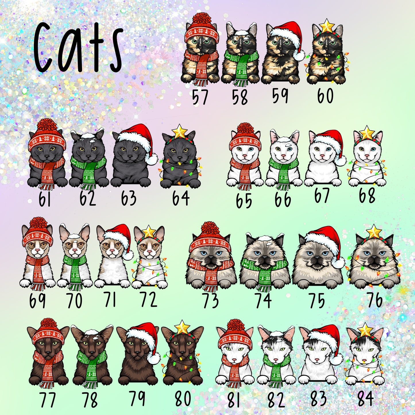 Happy Christmas Cat Card