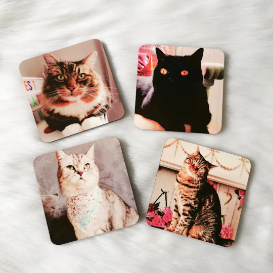 Personalised Pet Photo Coasters