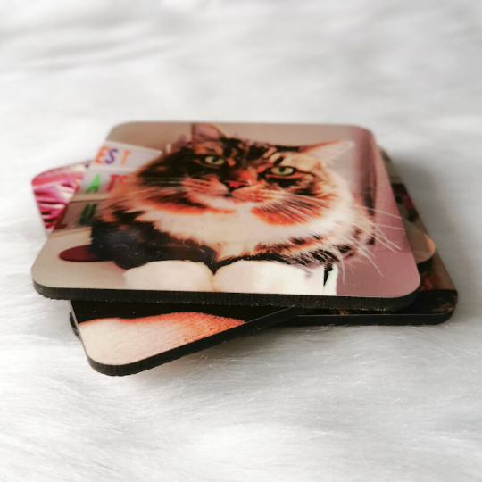 Personalised Pet Photo Coasters