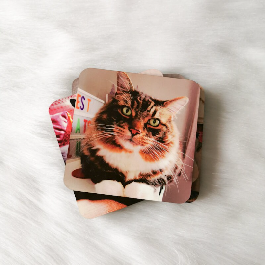 Personalised Pet Photo Coasters