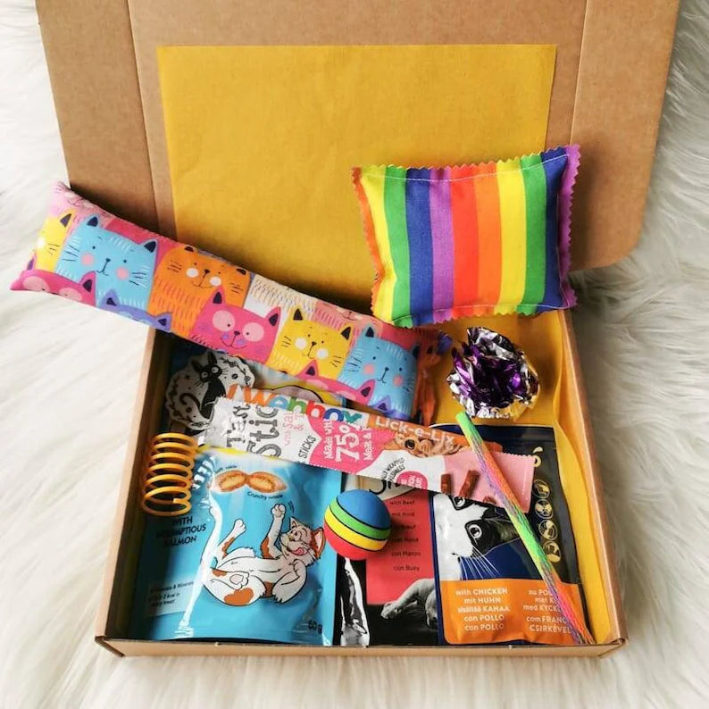 Picture shows a brightly coloured cat gift box with a catnip kicker and pillow, two pouches of cat food, cat treats and various toys