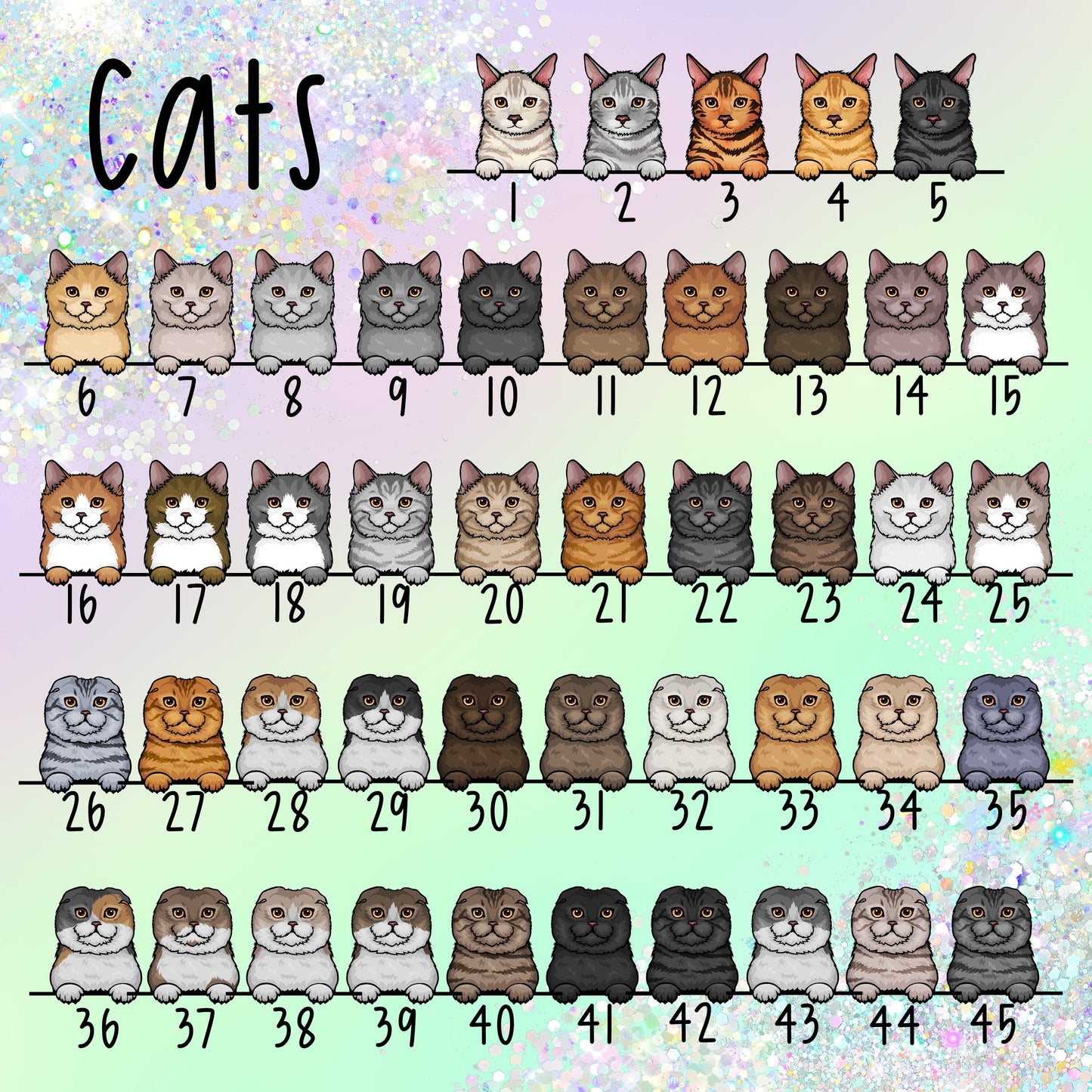 Happy Birthday Cat Card