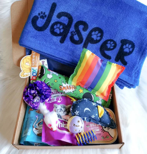 Picture shows a kitten gift box with a personalised blue blanket with the name "Jasper", two pouches of cat treats, a cat food tin, a catnip kicker pillow and heart and various cat toys