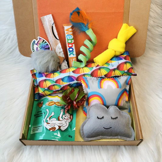 Picture shows a rainbow themed cat gift box with a rainbow umbrella catnip kicker, a catnip pillow in rainbow fabric and a kawaii catnip cloud, this box is designed to stimulate your cats natural hunting instinct and encourage interactive play between you and your pet and improve the bond between you