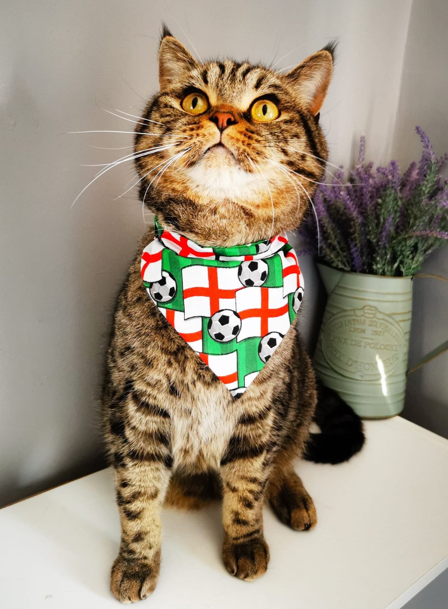 England Football Bandana