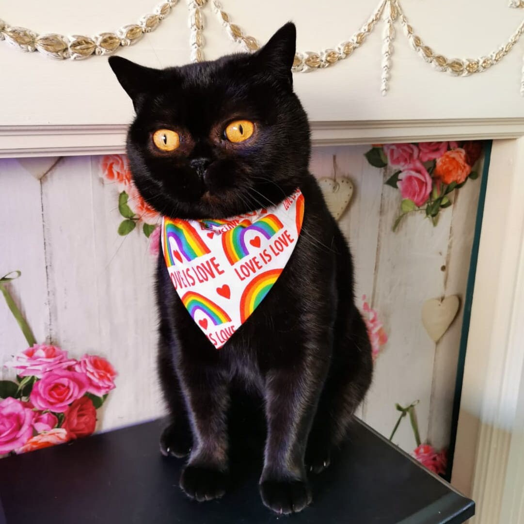 Pride Bandana