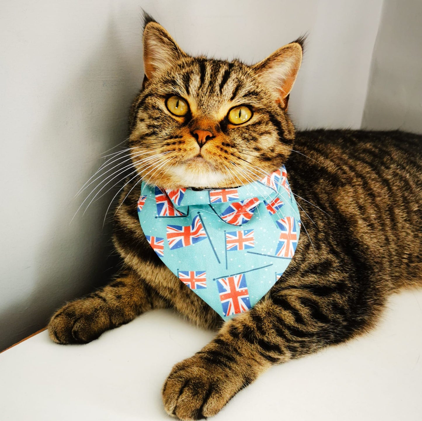 Union Jack Flags Bandana