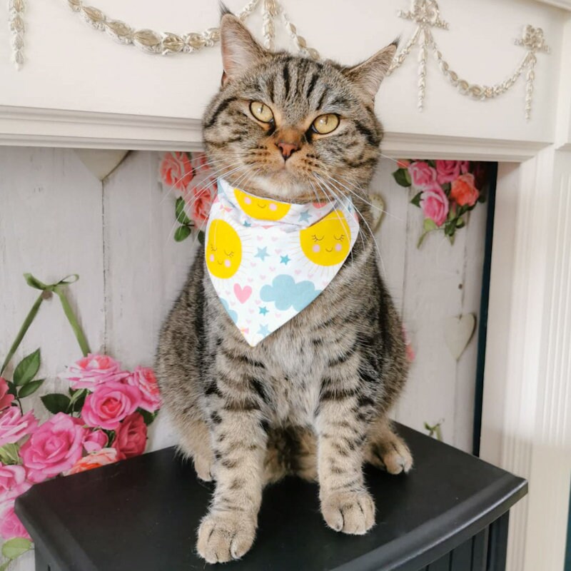 Happy Sunshine Bandana