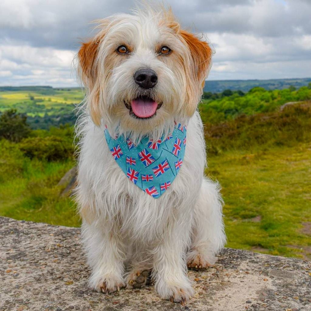 Union Jack Flags Bandana