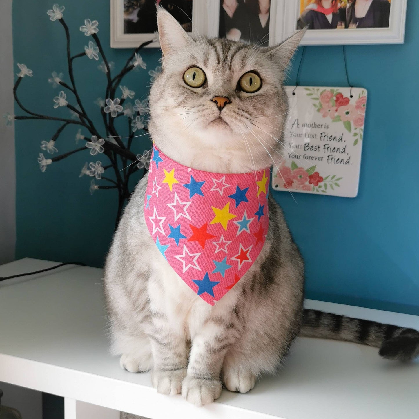 Pink Stars Bandana