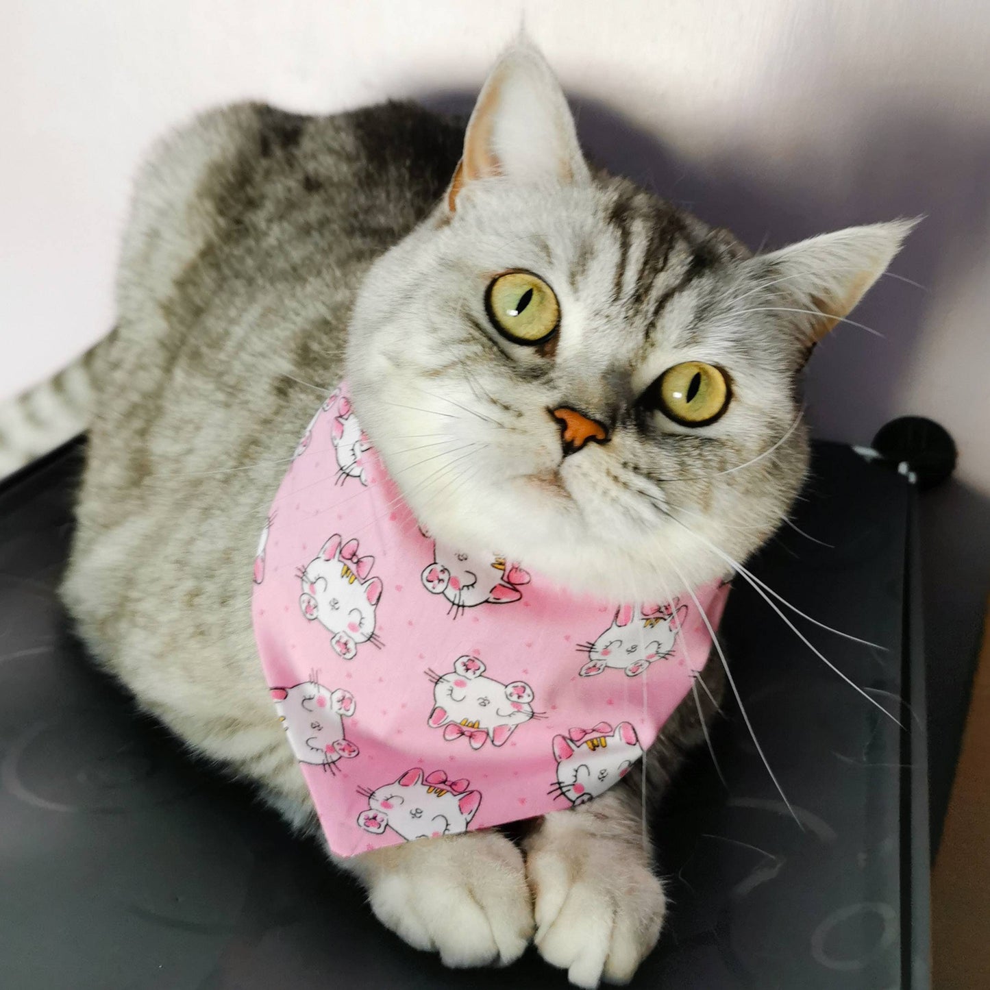 Pink Cats Bandana