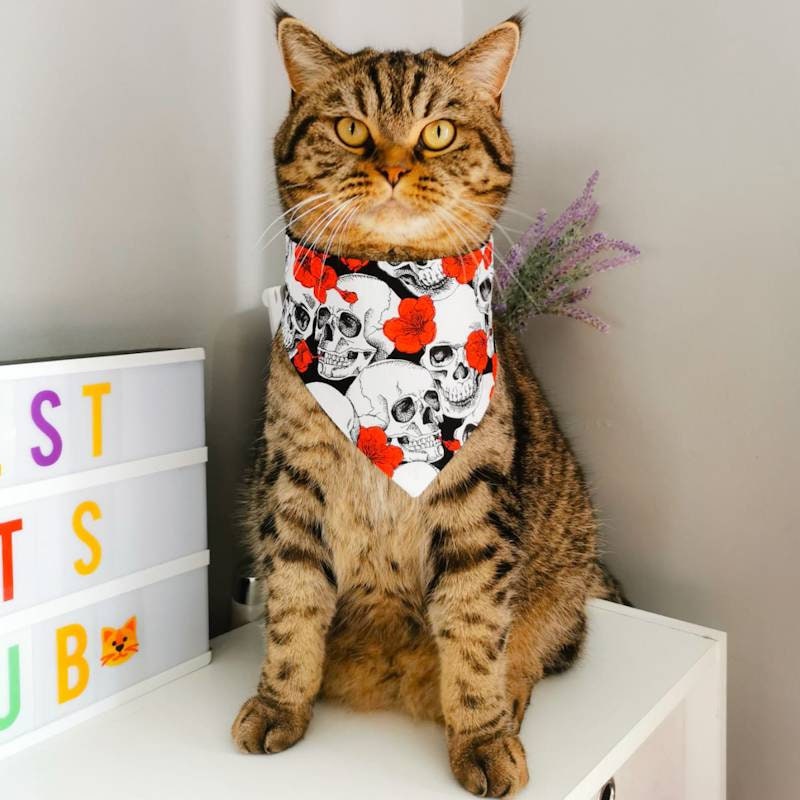 Skull and Roses Bandana