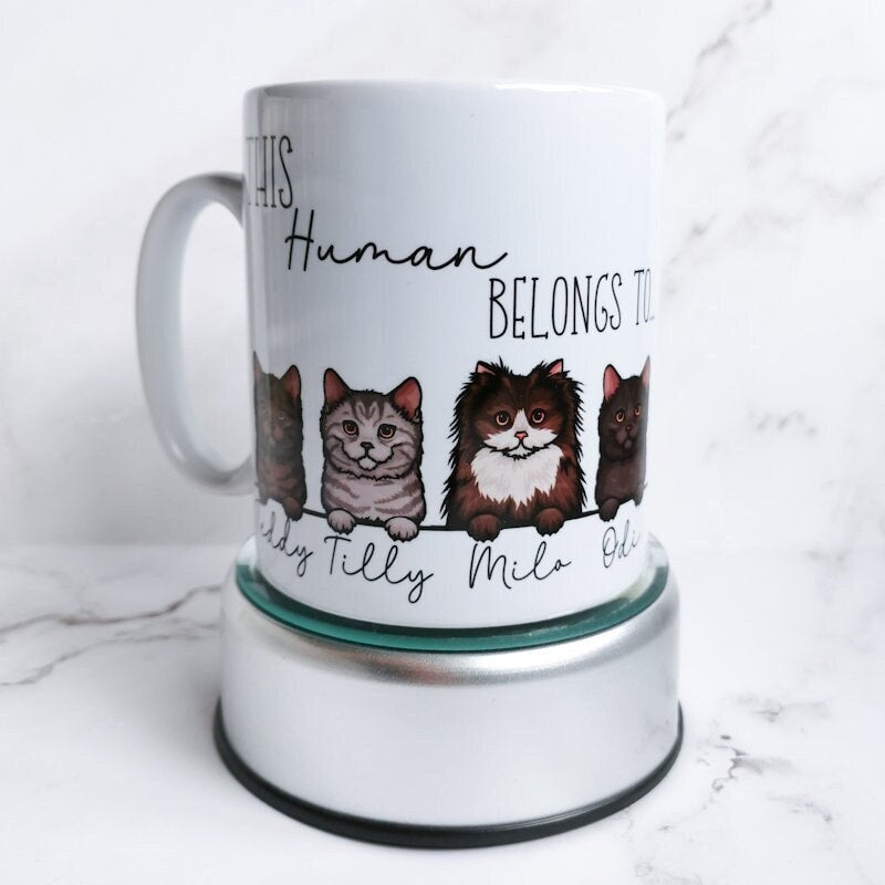 This Human Belongs to Cats Personalised Mug